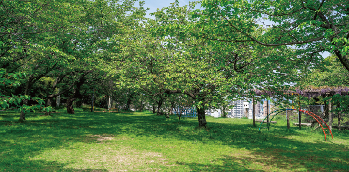 海老山公園